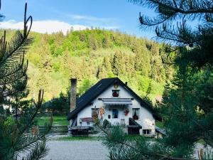 a small white house in the middle of a mountain at Alpin Ranch in Zărneşti