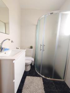 a bathroom with a shower and a toilet and a sink at Spot in the Village פינה במושב in Livnim