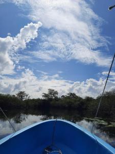 een uitzicht vanaf de boeg van een boot op een rivier bij Hotel Colibrí Petén in Santa Elena
