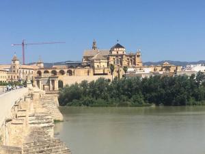 Príroda v okolí apartmánu + 8 fotografií