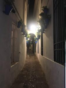 Fotografia z galérie ubytovania Apartamento El Templo v destinácii Córdoba