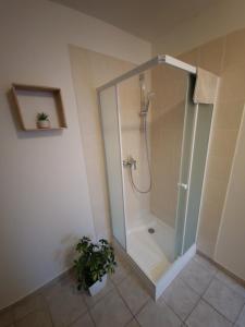a shower with a glass door in a bathroom at Cityap Apartments in Martinske Hole