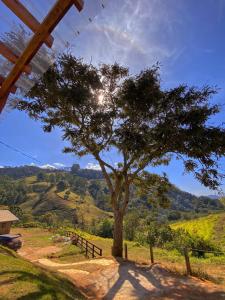 a tree in the middle of a dirt road at Chalé Jacarandá - Hidro - Wifi e mais in Sapucaí-Mirim