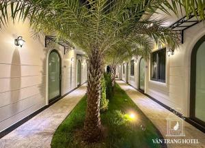 永隆的住宿－VÂN TRANG GARDEN HOTEL 2，走廊上一排棕榈树