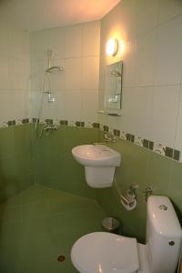 a green bathroom with a toilet and a sink at Hotel Queen in Aydemir
