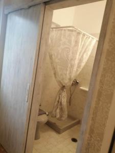 a bathroom with a toilet and a shower curtain at Dionisia Apartments 2 in Kefalos
