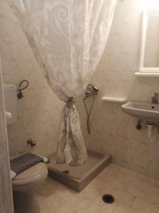 a bathroom with a shower curtain and a toilet at Dionisia Apartments 2 in Kefalos