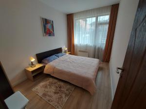 een kleine slaapkamer met een bed en een raam bij White grapes apartment in Petrich