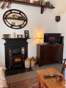 een woonkamer met een open haard en een televisie bij Tosses Cottage - Secluded cottage with hot tub in Newry