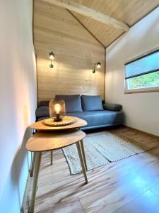 a living room with a blue couch and a table at Połoninka in Ustrzyki Górne +19 photos