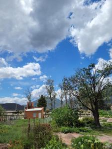 una casa en un campo con un cielo azul en Don Rosendo en Volcán