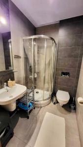 a bathroom with a shower and a sink and a toilet at Apartament Bystra Woda 28 z garażem in Zakopane