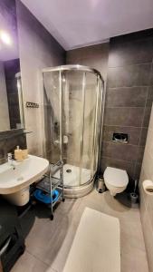 Kúpeľňa v ubytovaní Apartament Bystra Woda 28 z garażem + 37 fotografií