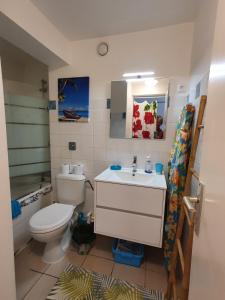 a bathroom with a toilet and a sink at appartement KER-EOL Sainte-Anne avec piscine in Sainte-Anne