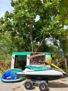 Fotografie z fotogalerie ubytování Daisy Cottage Dhangethi v destinaci Dhangethi
