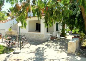 Сад в Residence Palm Garden