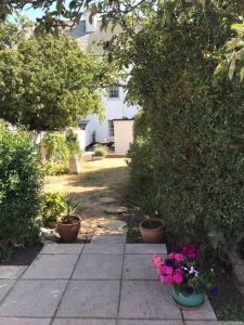 a garden with potted plants and flowers on a sidewalk at Huge 5 bed Grade II listed home in heart of town in Exmouth