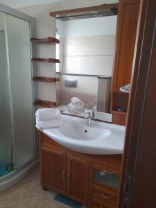 een badkamer met een wastafel en een spiegel bij Villa Fiumana in Rijeka