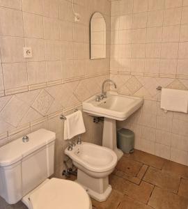 a bathroom with a toilet and a sink at House among olive trees with a sea view 3 in Ankaran