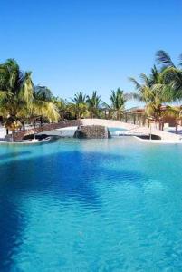 une grande piscine d'eau bleue avec des palmiers dans l'établissement Beachfront apartment with swimming pool. One bedroom, à Celestún