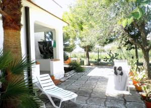 Сад в Residence Palm Garden
