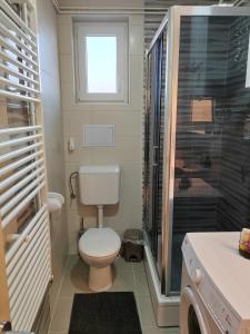 a small bathroom with a toilet and a shower at Apartment Una in Bjelovar