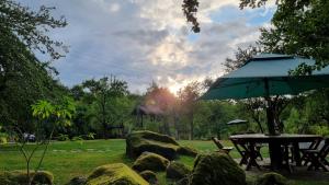 Casa Bunicului في Vistisoara: طاولة نزهة ومظلة في الحديقة