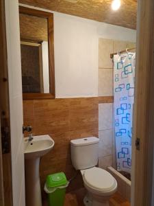 a bathroom with a toilet and a sink at La Ramada de Mama Elena in Oxapampa