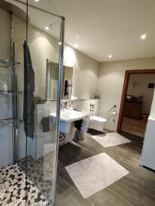 een badkamer met een douche, een wastafel en een toilet bij Ferienwohnung Nordeifel I in Monschau