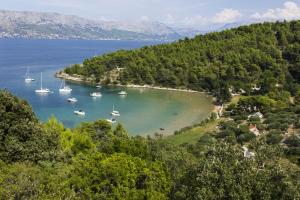 Naturlandskabet i nærheden af lejligheden