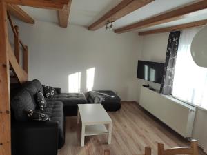 a living room with a couch and a tv at Villa Joanna in Františkovy Lázně