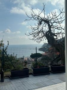 a view of the ocean from a balcony at Casa del sasso in Bergeggi