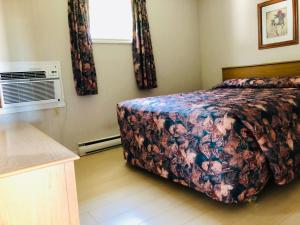 a bedroom with a bed and a air conditioner at Anne Shirley Motel & Cottages in Cavendish