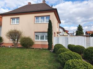 Κήπος έξω από το Ferienhaus FALVIG