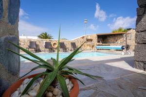 a potted plant sitting next to a swimming pool at Villa Piedra in Playa Blanca