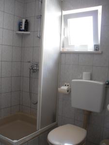 a bathroom with a toilet and a shower with a window at Apartment Marina in Sevid