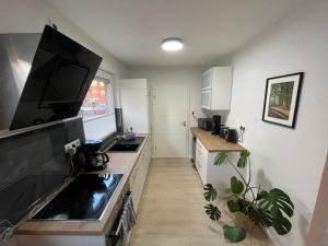 Kuchyň nebo kuchyňský kout v ubytování Ferienwohnung Mühlenwarf