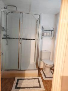 a bathroom with a shower and a toilet at RGM Hatfield 2 Bedroom Apartment in Hatfield