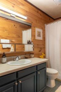 A bathroom at Secluded Chalet with Hot Tub, Mountain View’s