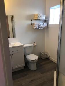 ein Badezimmer mit einem WC, einem Waschbecken und einem Spiegel in der Unterkunft The Canterbury Inn of Downtown Invermere in Invermere