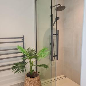 a bathroom with a shower with a plant in a basket at Sanctuary Ridge in Tauranga