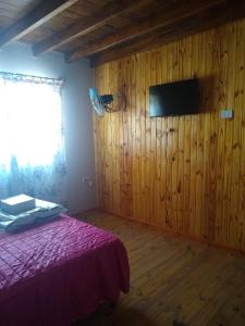 1 dormitorio con 1 cama y TV en una pared de madera en Complejo Las Rosas en Luján de Cuyo