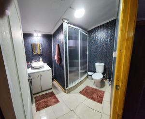 y baño con ducha, aseo y lavamanos. en Casa en Puerto Natales en Puerto Natales