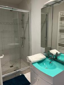 ein Badezimmer mit einem blauen Waschbecken und einer Dusche in der Unterkunft Le voltaire 1 chez Adrien in Saint-Quentin