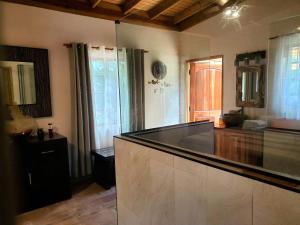 a large kitchen with a large glass counter top at Ecoscape Jamaica - Cottages by the river in Ocho Rios