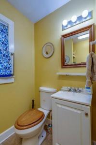 a bathroom with a toilet and a sink and a mirror at Green Home 25 min from downtown in Nashville