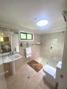 a bathroom with a sink and a toilet and a shower at Kondalilla Eco Resort in Montville
