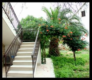 a staircase with flowers on it next to a palm tree at Apartments Boljat in Supetar