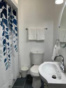 a white bathroom with a toilet and a sink at Adorable 2 bedroom with free street parking in Chicago