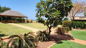 un parco con un albero e un gazebo di Samson Beach Chalets a Point Samson